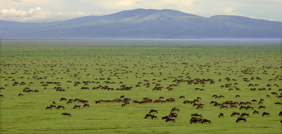 African landscape